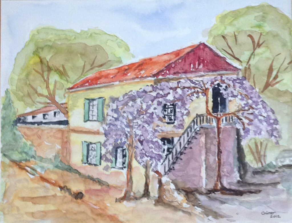 Salkımlı Ev