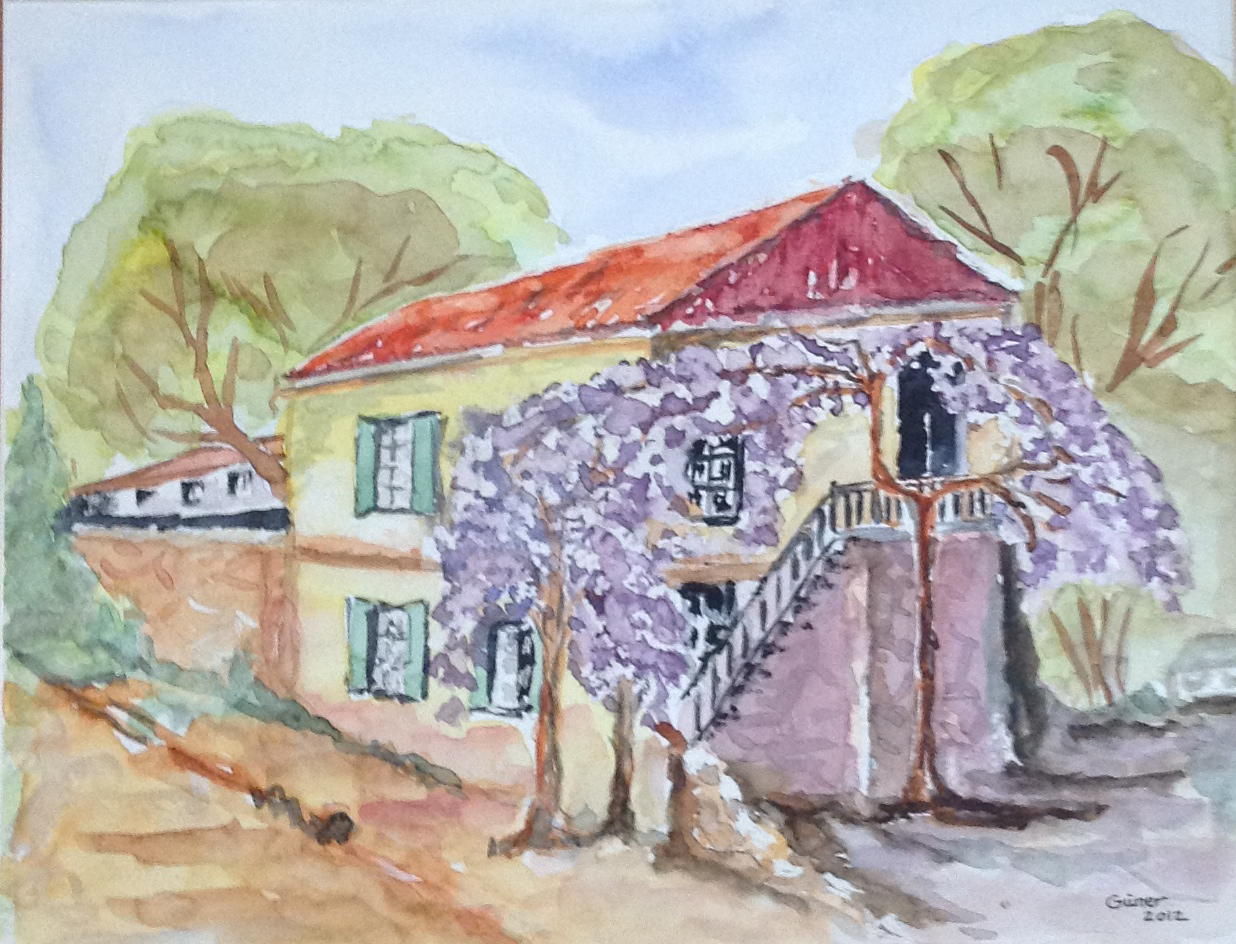 Salkımlı Ev