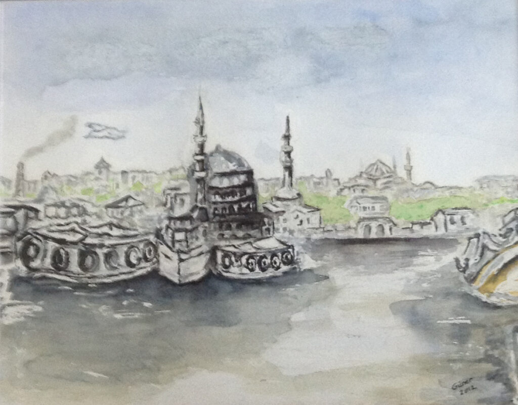 Sarayburnuna Bakış